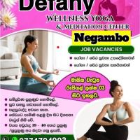 Image of 🔯 JOB VECANCY   💒 listing image
